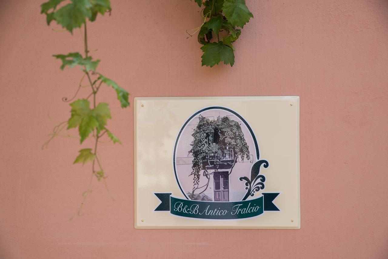B&B Antico Tralcio Antignano  Ngoại thất bức ảnh