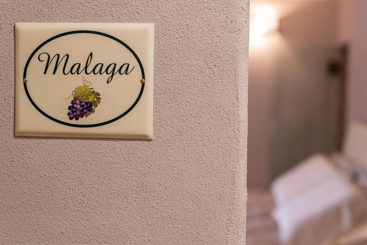 B&B Antico Tralcio Antignano  Ngoại thất bức ảnh